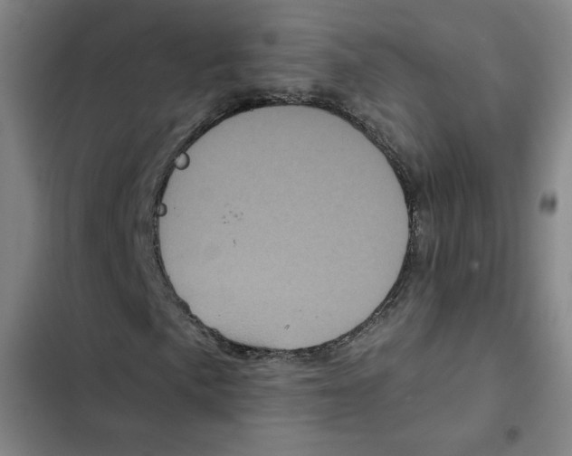 X0000102351057200808291155