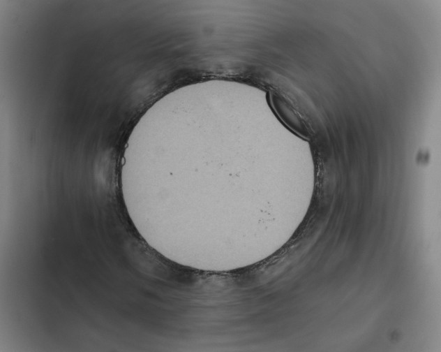 X0000102351058200808291155