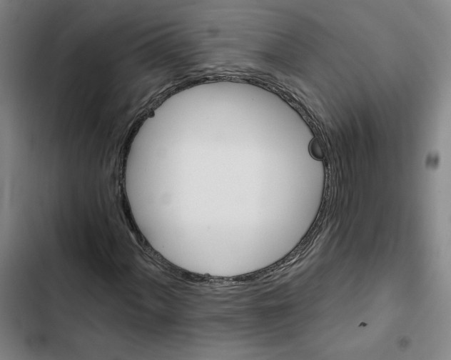 X0000102351060200808291155