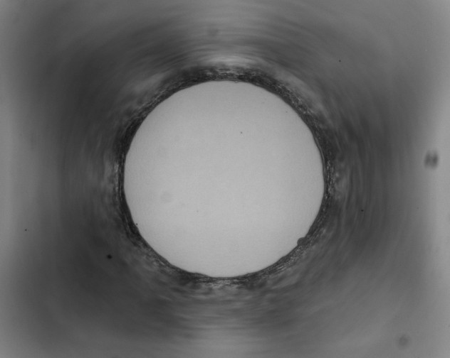 X0000102351061200808291155