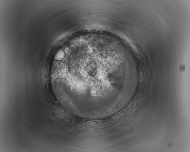 X0000102351063200808291155