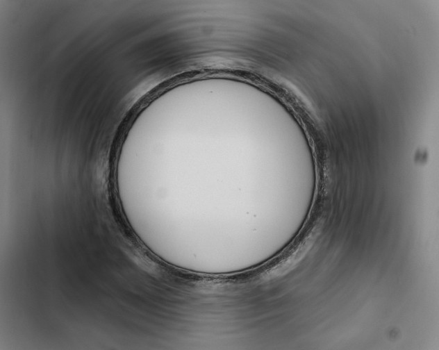 X0000102351065200808291155