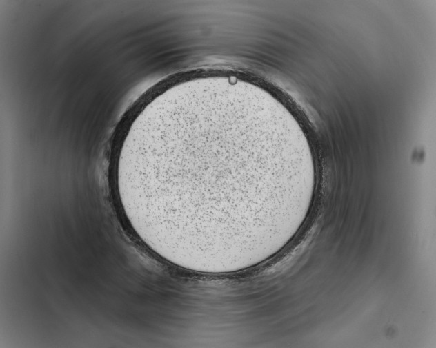 X0000102351066200808291155