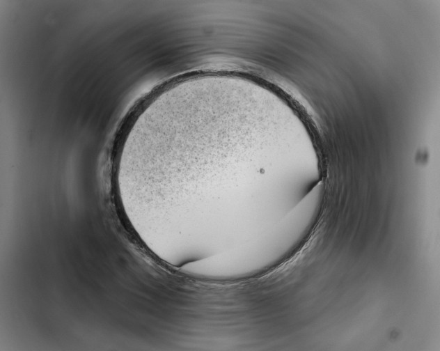 X0000102351067200808291155