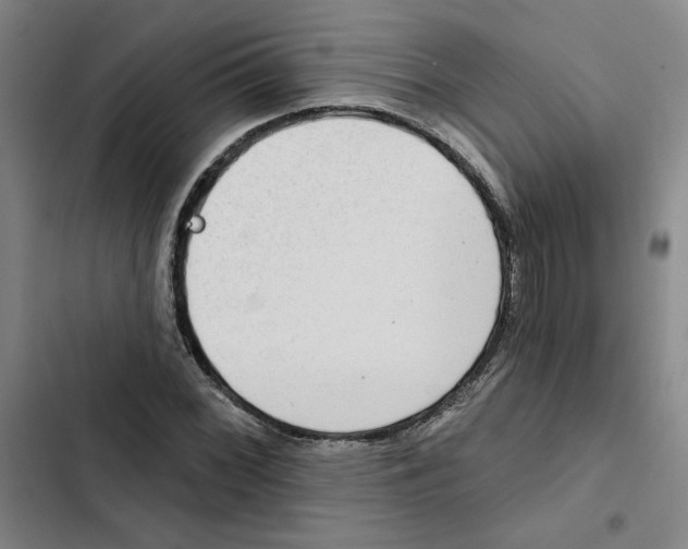 X0000102351068200808291155