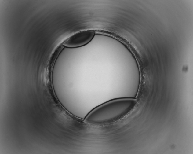 X0000102351069200808291155