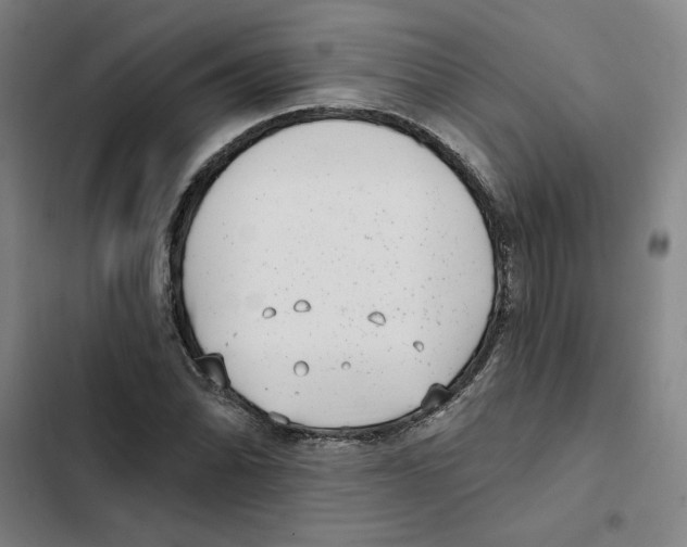 X0000102351070200808291155