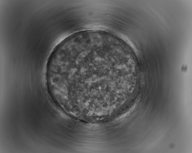 X0000102351071200808291155