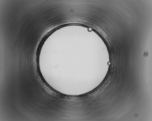 X0000102351072200808291155