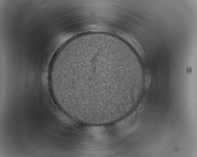 X0000102351074200808291155