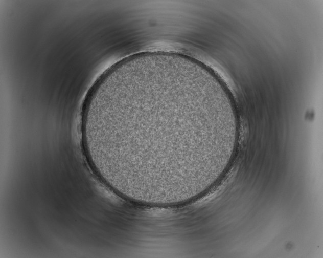 X0000102351075200808291155