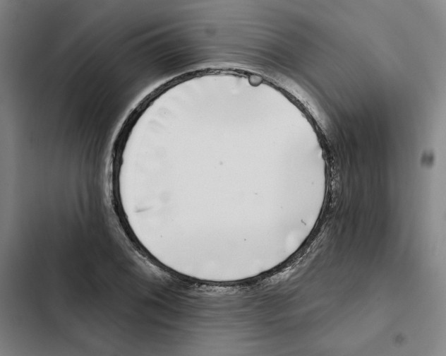 X0000102351076200808291155