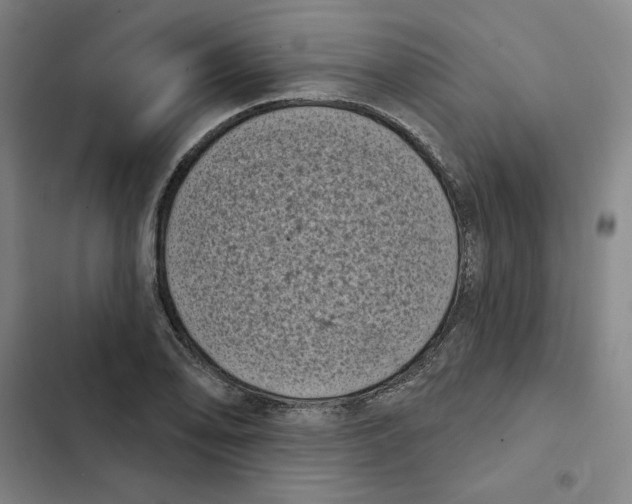 X0000102351078200808291155