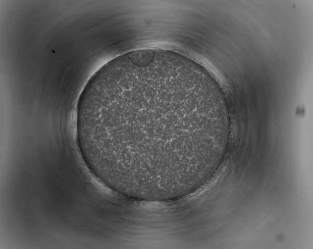 X0000102351079200808291155
