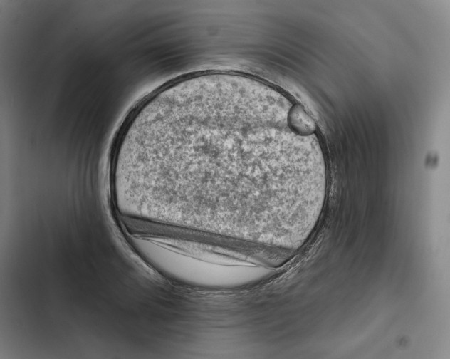 X0000102351080200808291155