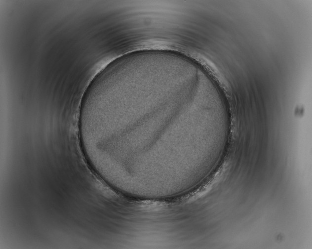 X0000102351081200808291155