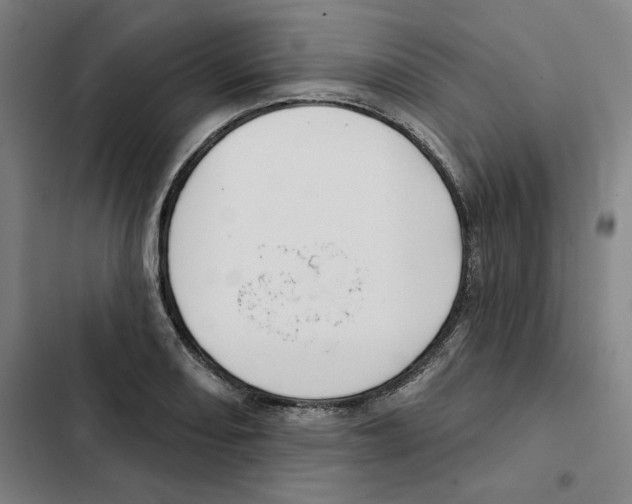X0000102351082200808291155