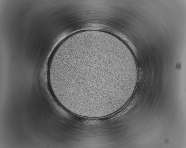 X0000102351083200808291155