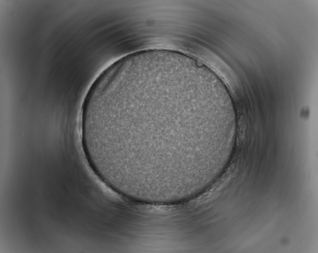 X0000102351084200808291155