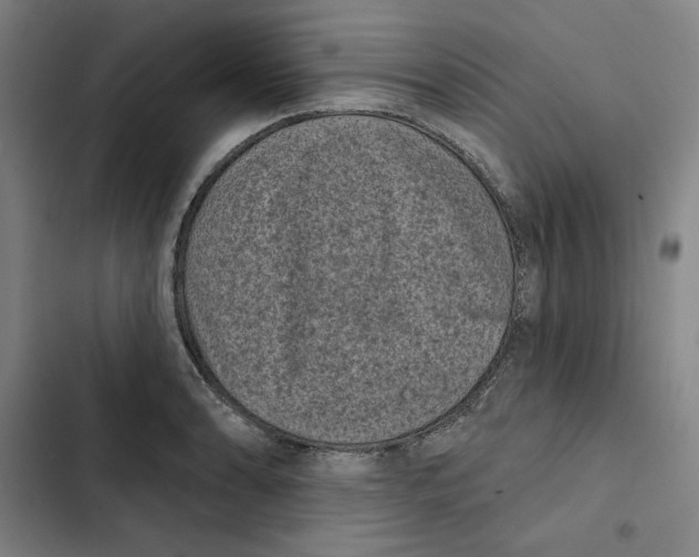 X0000102351086200808291155