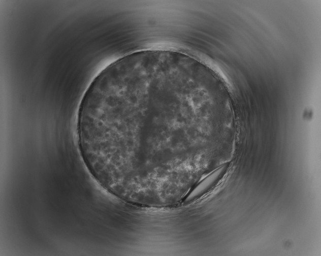 X0000102351087200808291155