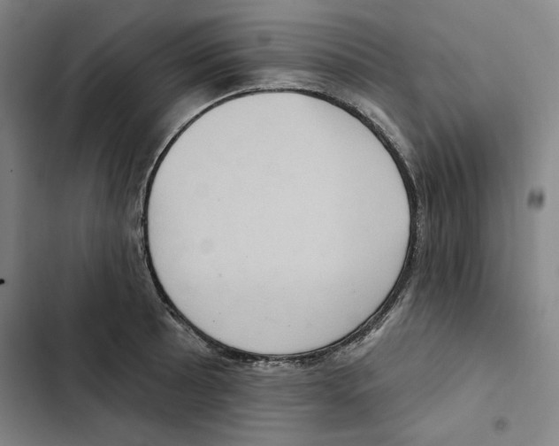 X0000102351089200808291155