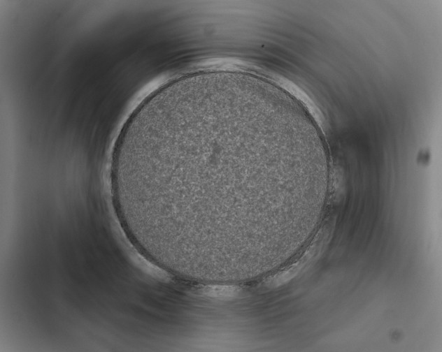 X0000102351090200808291155