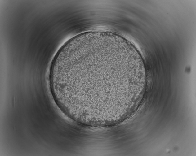 X0000102351091200808291155