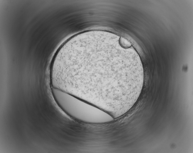 X0000102351092200808291155