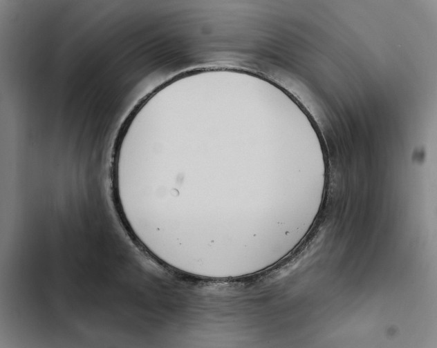 X0000102351093200808291155