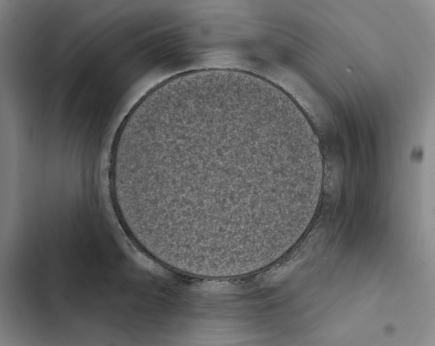 X0000102351094200808291155