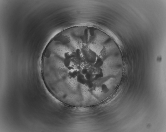 X0000102351095200808291155
