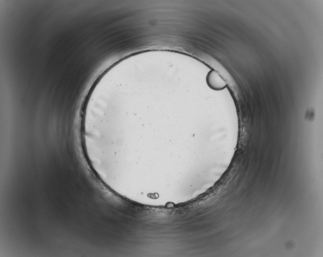 X0000102351096200808291155