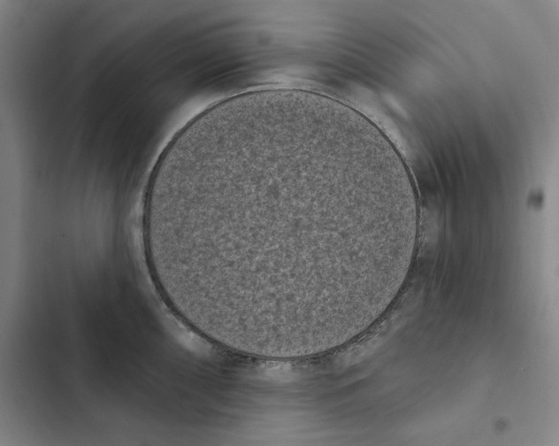 X0000102351098200808291155