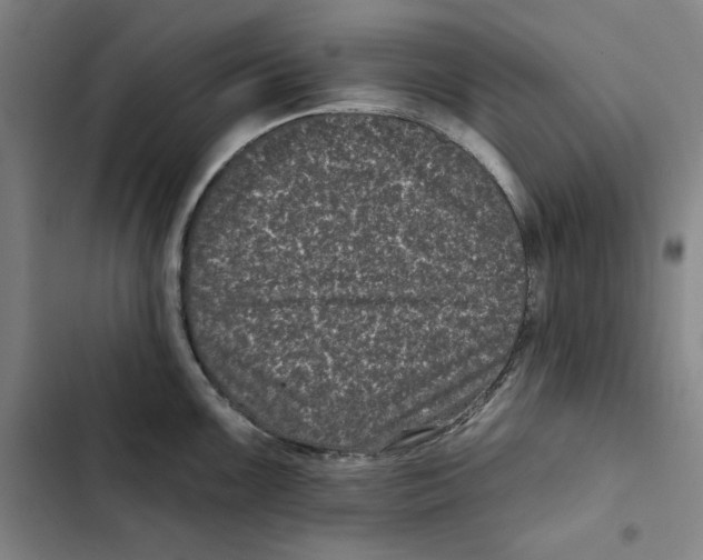 X0000102351099200808291155
