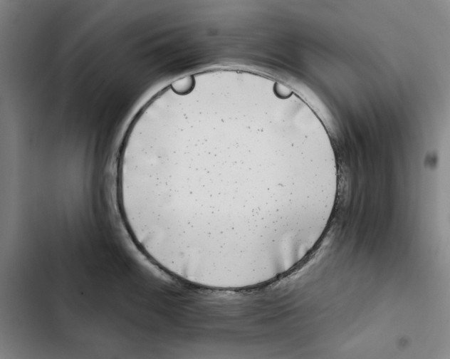 X0000102351100200808291155