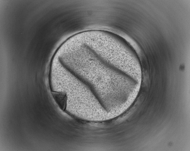 X0000102351102200808291155