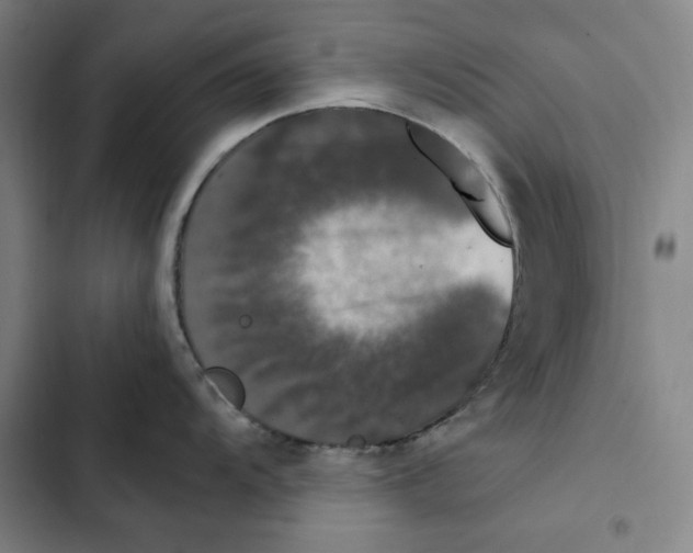 X0000102351104200808291155