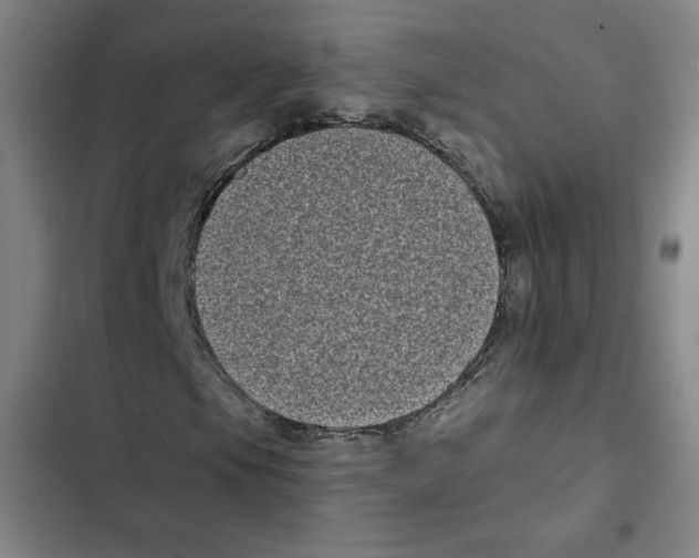 X0000102351105200808291154