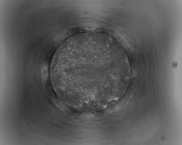 X0000102351106200808291154