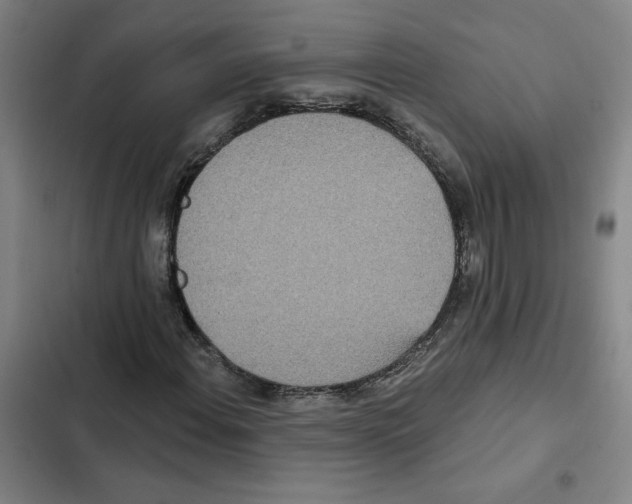 X0000102351108200808291154