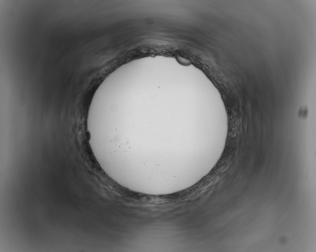 X0000102351109200808291154
