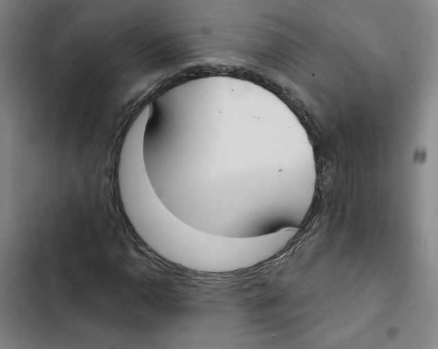 X0000102351110200808291154