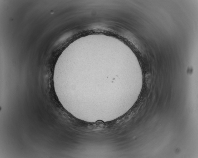 X0000102351111200808291154