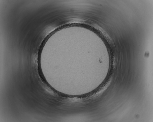 X0000102351113200808291154