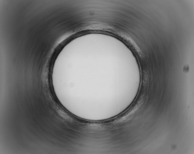 X0000102351114200808291154