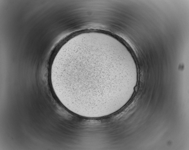 X0000102351115200808291154