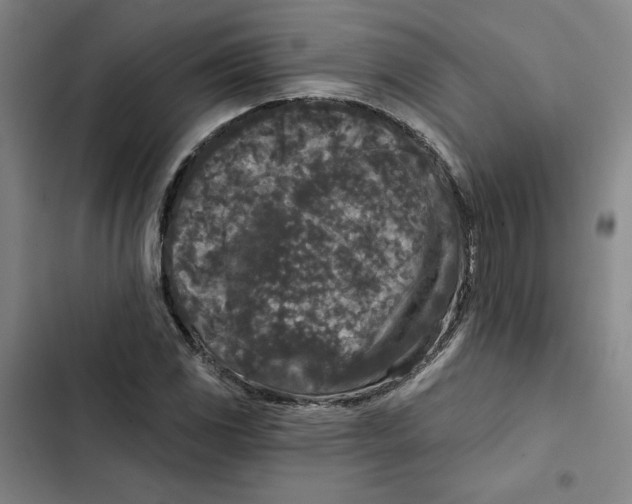 X0000102351117200808291154
