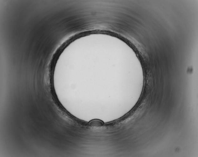 X0000102351118200808291154
