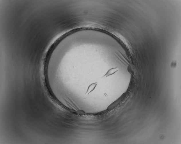 X0000102351120200808291154